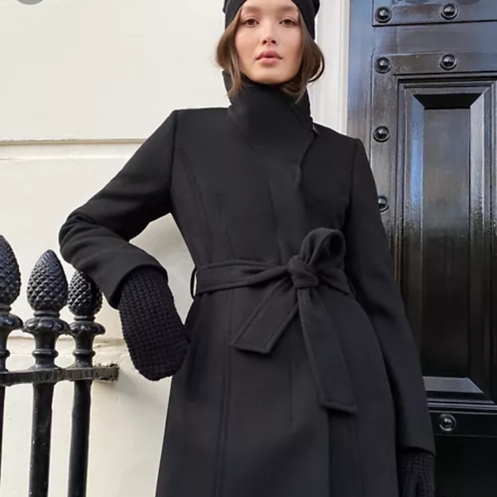 Wilfred Aritzia Connor Wool Coat